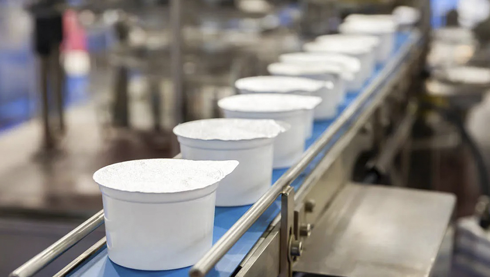 Trabajo de microbiología 2