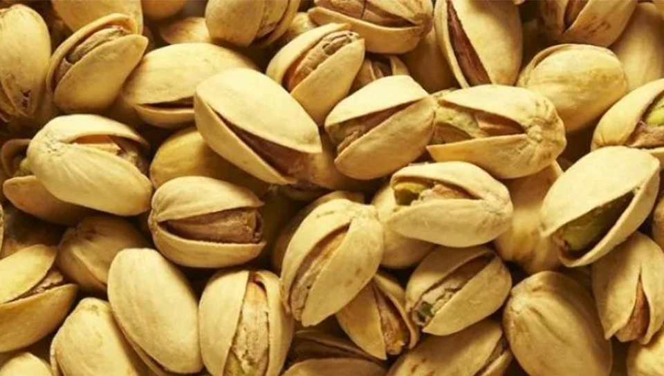 Trabajo de microbiología 3