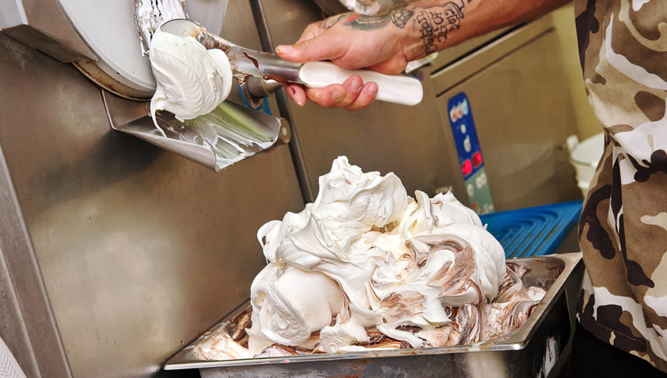 Trabajo de microbiología 4